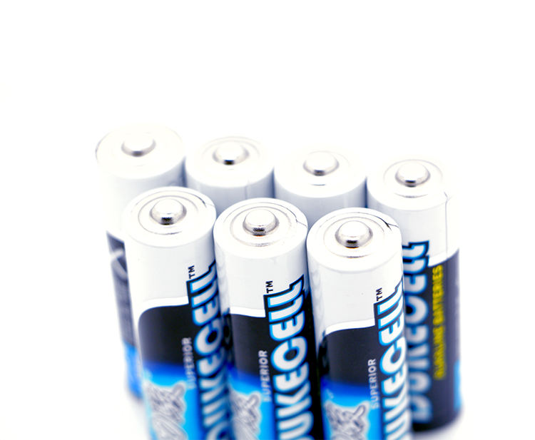 DUKECELL Customized LR6 Size 1.5V AA Alkaline Battery